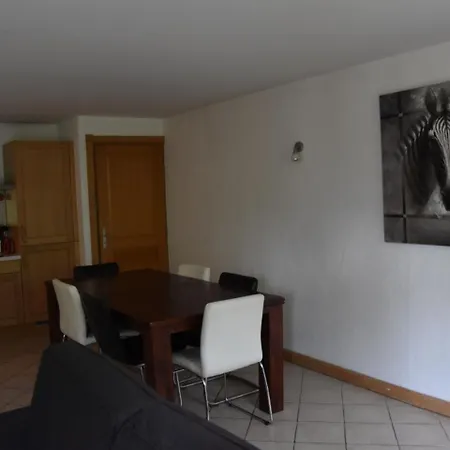Spacious In Near Ski Area Apartment