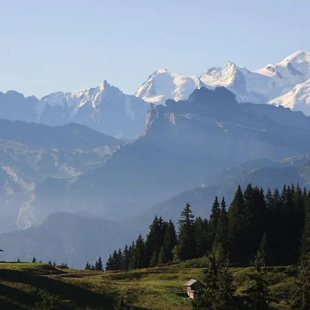Spacious In Near Ski Area Apartman *